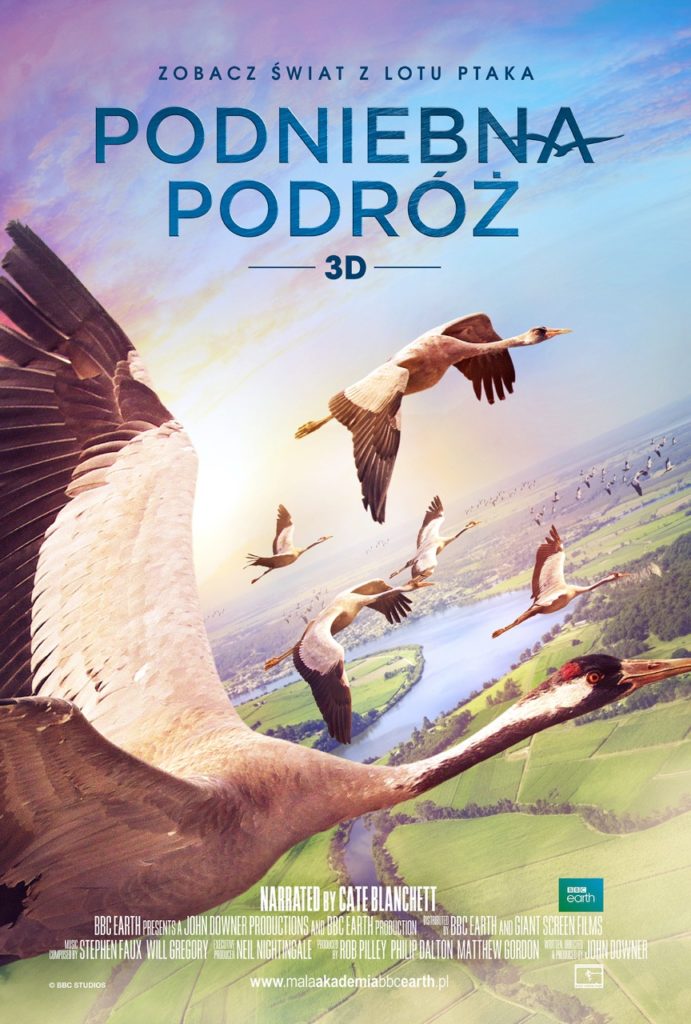 Kino Przyjazne Sensorycznie. Podniebna podróż